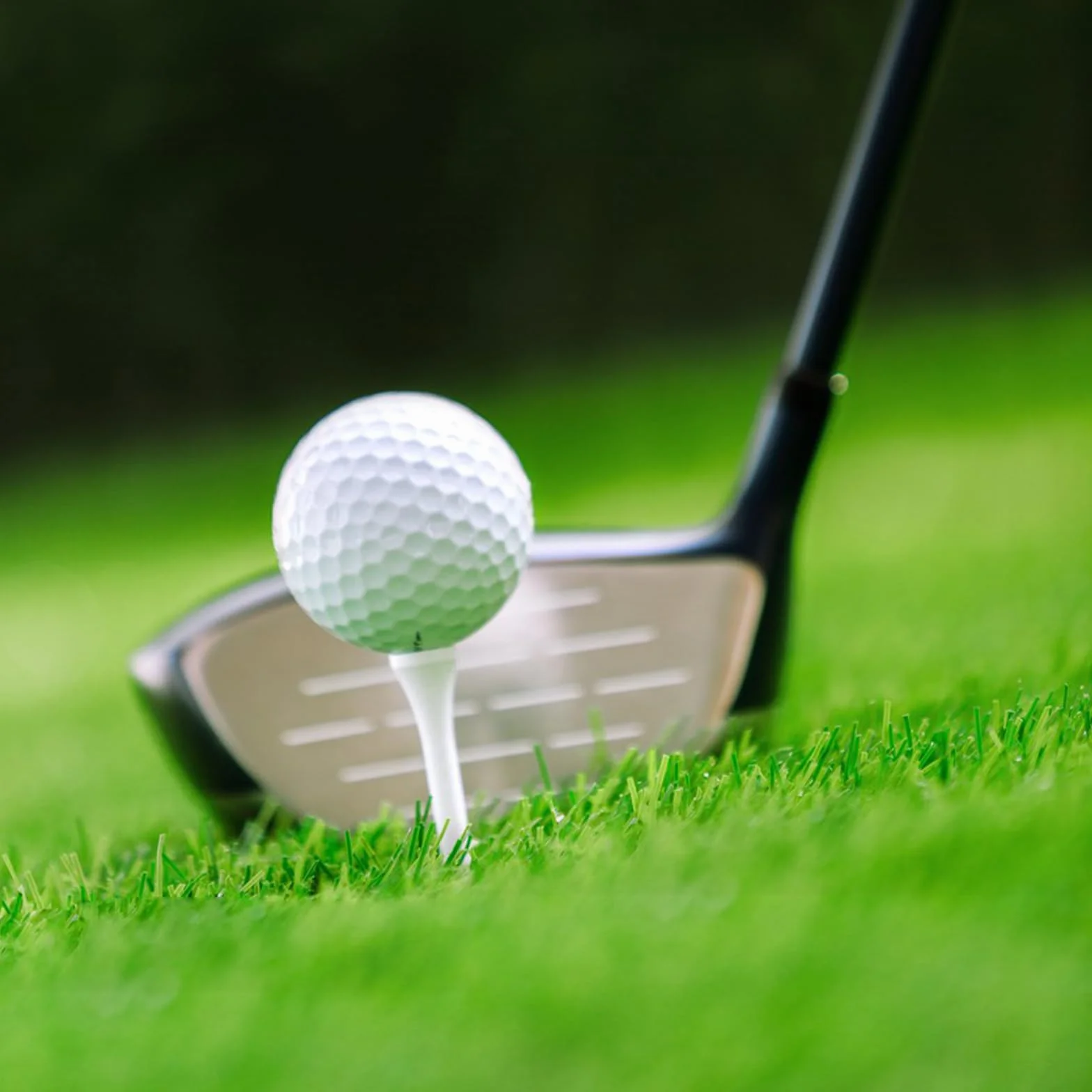 Castle Tee 125 Pezzi Tee da Golf in Plastica Multicolore Infrangibile Riutilizzabile Portatile